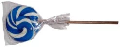 Round Blue And White Lollipop (80g Single Lollipop)